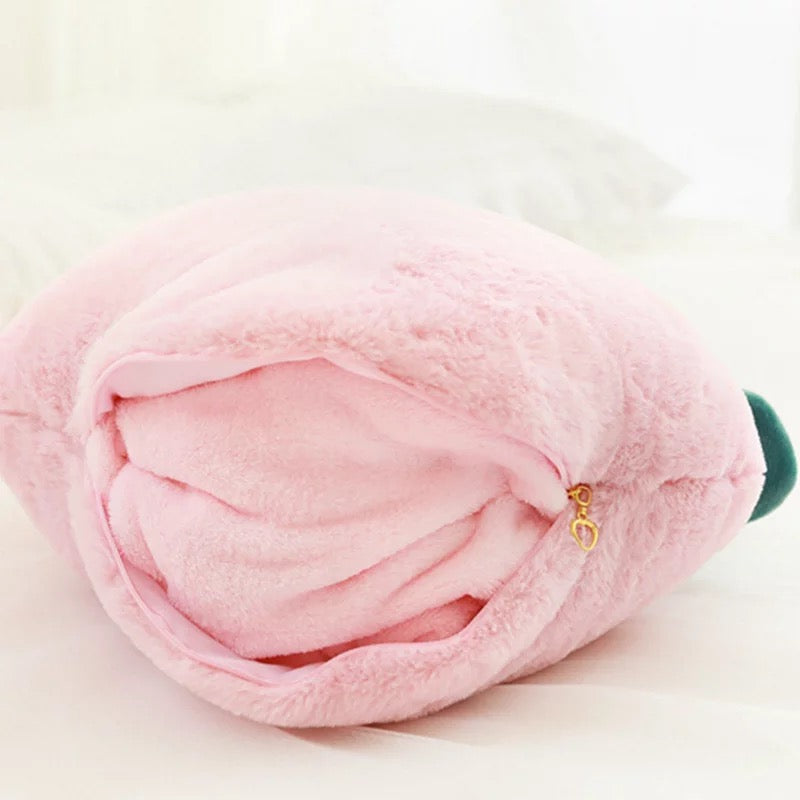 Peach Pillow & Blanket Set