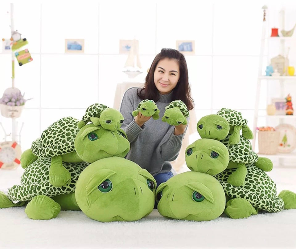 Turtle Stuffies